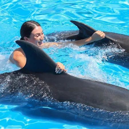 Dream House In Clube * Albufeira