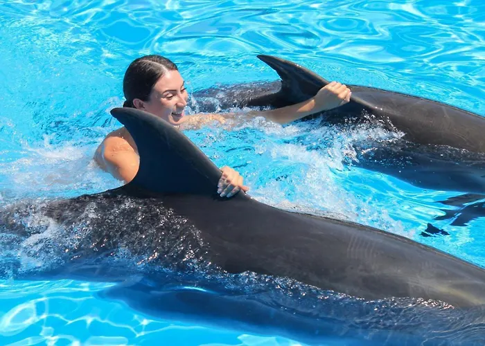 Dream House In Clube * Αλμπουφέιρα